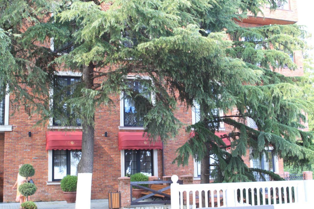 Afon Resort Hotel New Athos Exterior foto